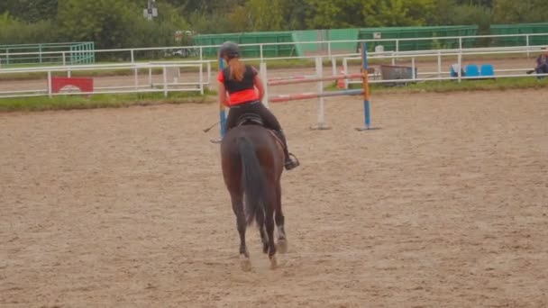 Fille monter un cheval — Video