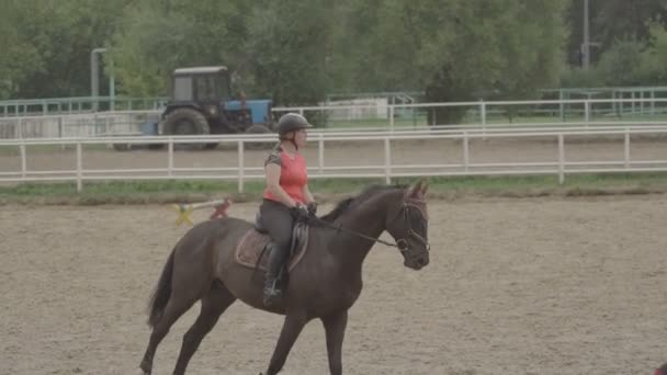Moskou, Rusland - 12 augustus 2016: Paardensport Cska base — Stockvideo