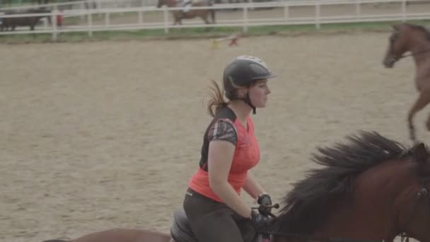 MOSCOW, RUSSIA - August 12, 2016: Equestrian CSKA base — Stock Video