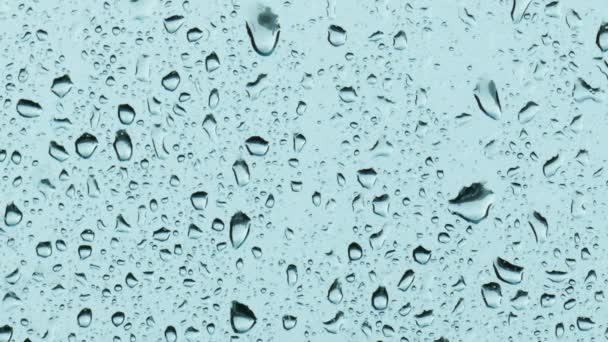 Raindrops on a windowpane — Stock Video