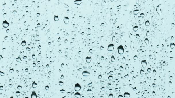 Raindrops on a windowpane — Stock Video