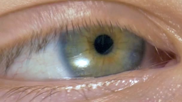 Imagen macro del ojo humano — Vídeo de stock