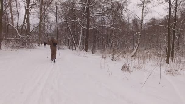 Parque de invierno nevado — Vídeo de stock