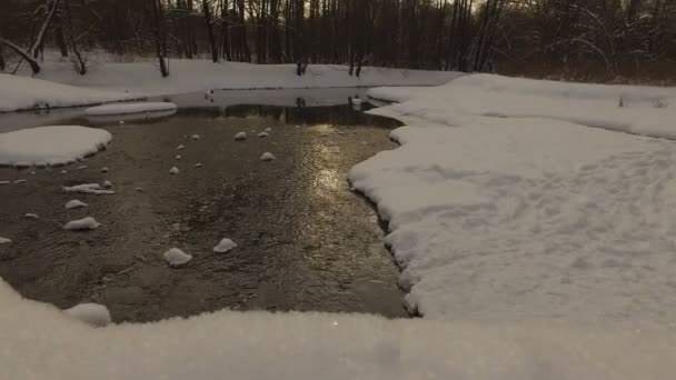 Parc d'hiver enneigé — Video