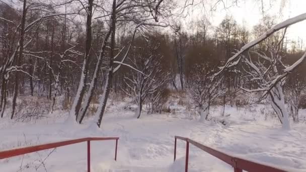 Snöig vinter park — Stockvideo