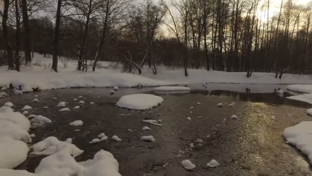 Snowy winter park — Stock Video