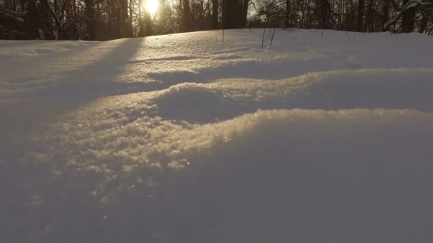 Parque de invierno nevado — Vídeo de stock