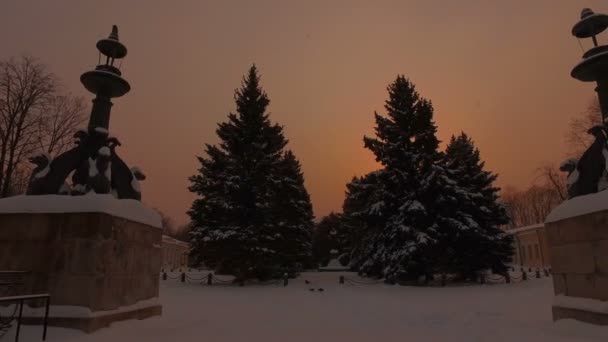 Parque de invierno nevado — Vídeo de stock