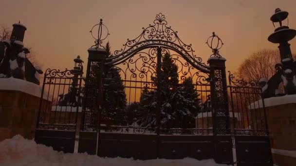 Parque de invierno nevado — Vídeo de stock