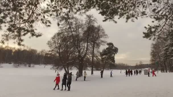 Χιονισμένο πάρκο χειμώνα — Αρχείο Βίντεο