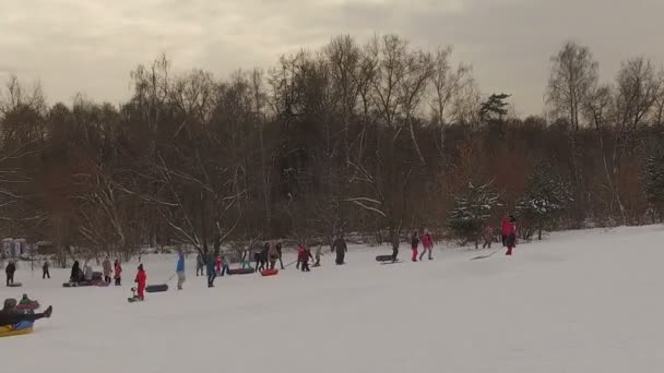 Snöig vinter park — Stockvideo