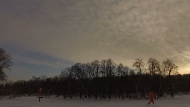 Zasněžené zimní park — Stock video