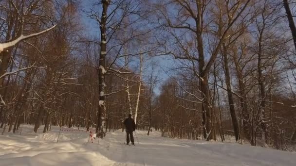 Besneeuwde winter park — Stockvideo