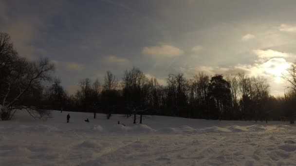 Сніжна зима парк — стокове відео