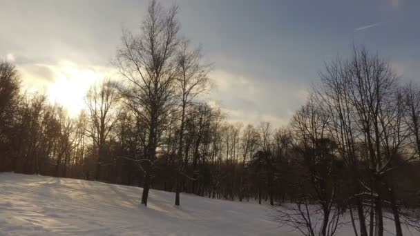 Snöig vinter park — Stockvideo