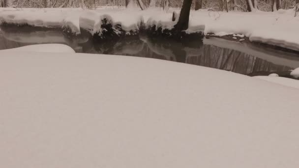 Снежный зимний парк — стоковое видео