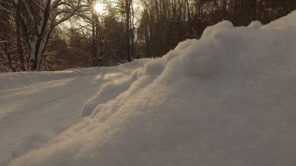 Parque de invierno nevado — Vídeos de Stock