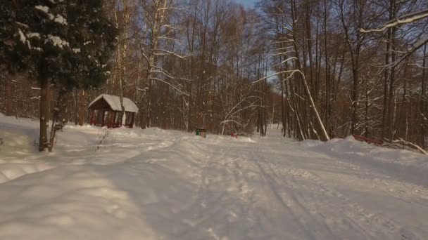 Snöig vinter park — Stockvideo