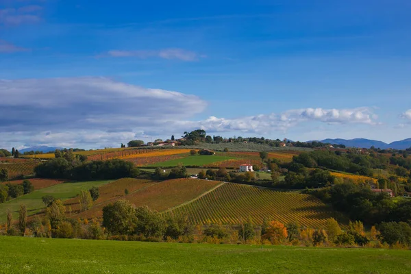 Όμορφη Θέα Των Λόφων Umbria Φθινόπωρο Αμπελώνες — Φωτογραφία Αρχείου