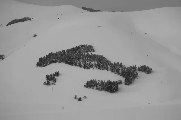 Beautiful winter panorama of the Plain of Castelluccio of Norcia with italy made by trees, Umbria