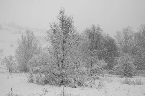 Colfiorito Lake Winter Snowfall Umbria Italy — Stock Photo, Image