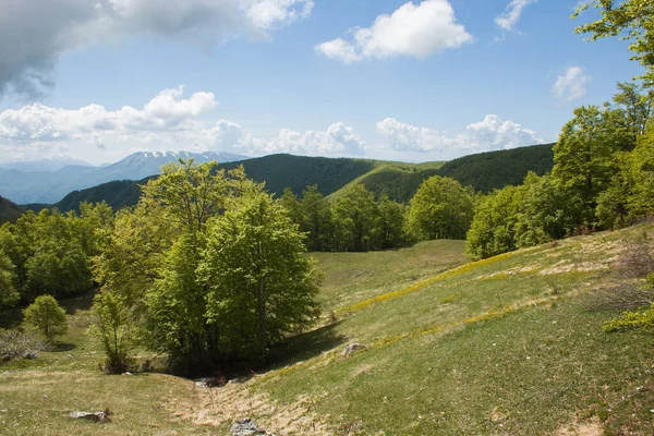 Πράσινο Πεδίο Στο Βουνό Terminillo Κατά Διάρκεια Της Άνοιξης Lazio — Φωτογραφία Αρχείου