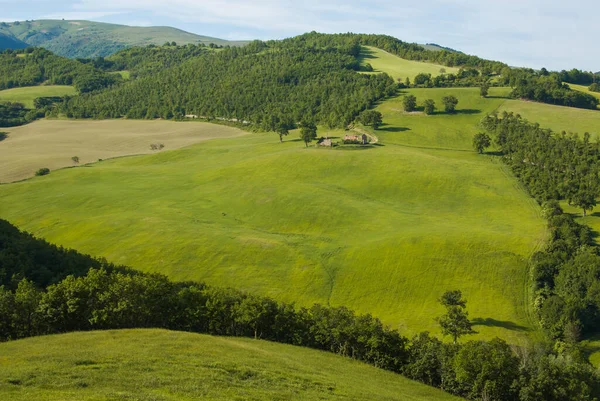 意大利Monti Sibillini国家公园 Marche地区绿山美丽的全景 — 图库照片