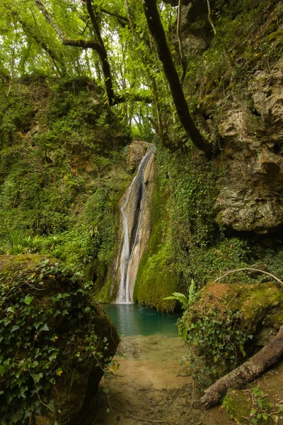 Paradis Incroyable Dans Forêt Sauvage Ombrie Italie — Photo