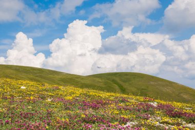 Bahar günü renkli yabani çiçekler ve kümülonimbus ile Valsorda Dağı