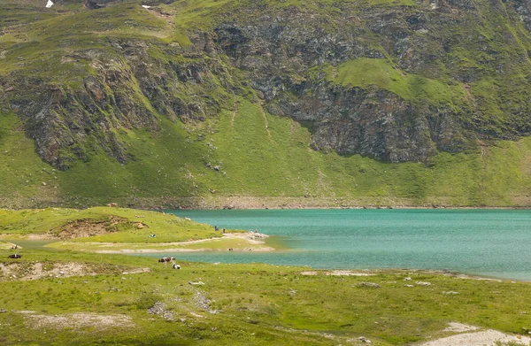 Belle Vue Sur Lac Castel Kastel Val Formazza Avec Des — Photo