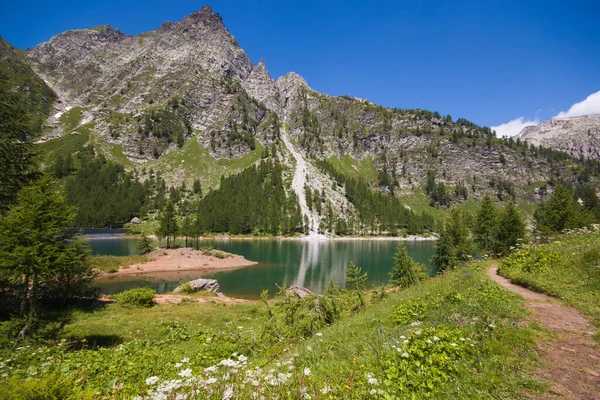 Italien Piemont Alpe Devero Naturpark See Von Devero Sommertag Juli — Stockfoto