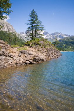 İtalya 'nın Piemonte kentindeki temiz alp gölünün üzerindeki ıssız ağaç.