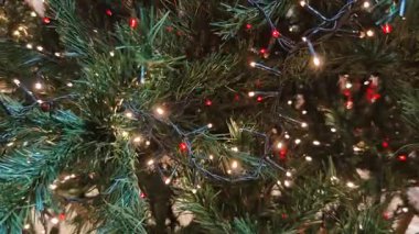 Geleneksel altın ışıklı Noel ağacı