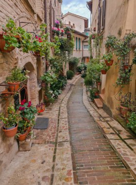 İtalya 'nın Spello şehrinde hoş bir ortaçağ taş sokağı. Renkli saksılarla süslenmiş ve tarihi duvarlardan sarkan yemyeşil bitkiler. Yumuşak, bulutlu bir gökyüzünün altında.