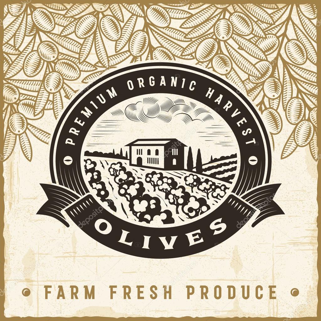 Vintage olive harvest label with landscape in woodcut style. Editable EPS10 vector illustration with clipping mask and transparency.
