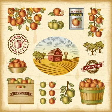 Vintage colorful apple harvest set clipart