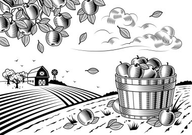 Apple harvest landscape black and white clipart