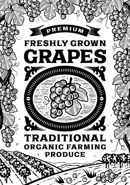 Cartaz de uvas retro preto e branco — Vetor de Stock