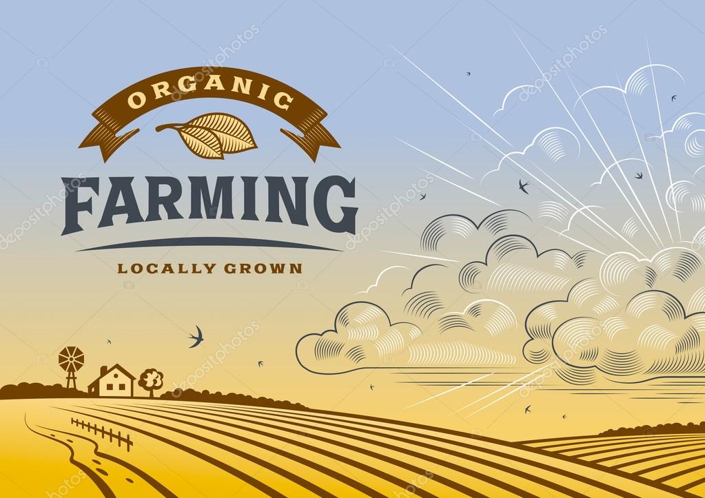 Vintage organic farming label with landscape in woodcut style. Editable vector illustration with clipping mask.