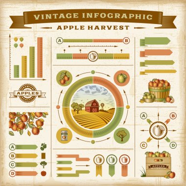 Vintage elma hasat Infographic seti