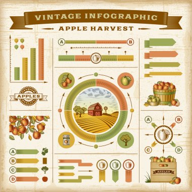 Vintage apple harvest infographic set clipart