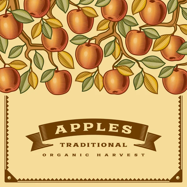 Cartão de colheita de maçã retro — Vetor de Stock