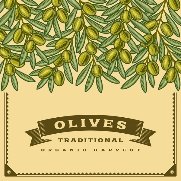 Retro olive harvest card Royalty Free Stock Illustrations