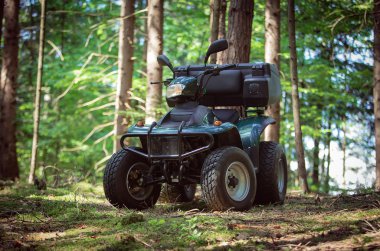 ATV'ın orman park yerinde park etmiş. iyi bir hava.