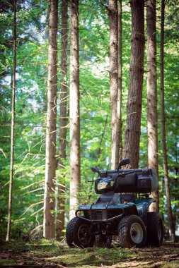 ATV'ın orman park yerinde park etmiş. iyi bir hava.