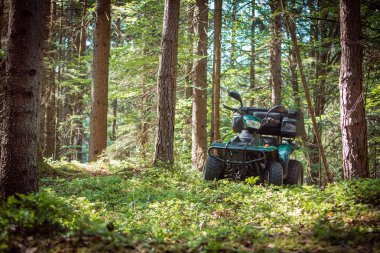 ATV'ın orman park yerinde park etmiş. iyi bir hava.