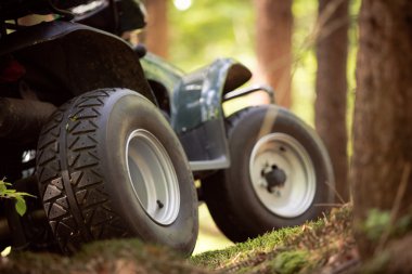ATV'ın orman park yerinde park etmiş. iyi bir hava.