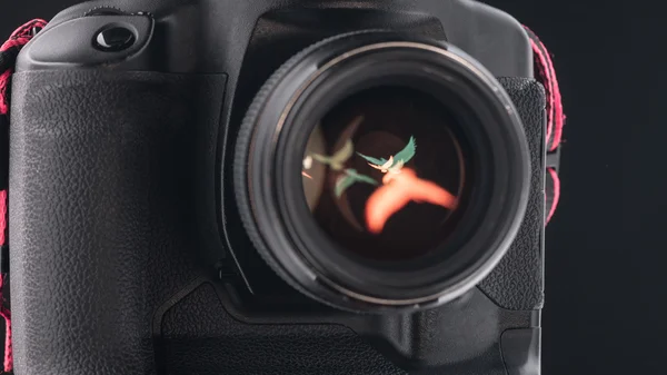 El diafragma de una abertura de lente de cámara. Imagen tonificada en color. Nueva idea — Foto de Stock