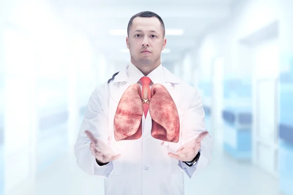 Médico con estetoscopio y pulmones en las manos en un hospital. Alta resolución . —  Fotos de Stock