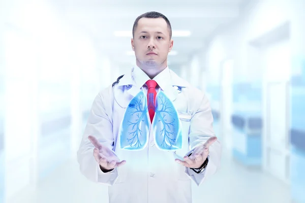 Доктор со стетоскопом и легкими на руках в больнице. Высокое разрешение . — стоковое фото